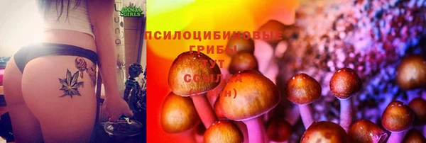 кокс Абинск