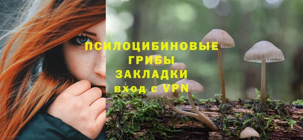 дурь Абаза